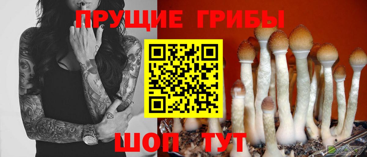 Галлюциногенные грибы MAGIC MUSHROOMS  Псилоцибиновые грибы Cubensis  Вход с VPN  Фрязино 